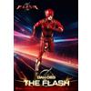 BEAST KINGDOM The Flash Dynamic 8ction Heroes Action Figura 1/9 The Flash 24 Cm Beast Kingdom