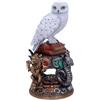 NEMESIS NOW Harry Potter Figura Hedwig 22 Cm Nemesis Now