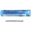 Boiron Causticum Boi 9ch 80gr 4g