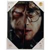 Sd Toys Harry Potter Half Face Harry&voldemort Poster di Vetro