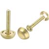 QUARKZMAN 4Pz Viti Decorative in Ottone con Tappi, 15 Mm Viti per Specchi Chiodi per Copri Tappi, Elementi di Fissaggio per Mobili a Specchio Decorativi, Oro