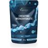 VEGAVERO Creatina in Polvere 500 GR Polvere