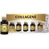 DR.GIORGINI SER-VIS Srl Collagene liquido analcolico 10 flaconcini x 50 ml - GIORGINI - 951376173