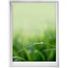 Blindecor Easy Tende senza forature Stampate - Tenda traslucida con stampa digitale, silenziosa, 100 x 150 cm (larghezza per altezza). Dimensioni del tessuto 97 x 145 cm