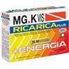POOL PHARMA Srl MGK VIS ricarica plus 14 bustine