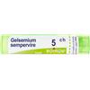 boiron Gelsemium semperv 5ch gr 4g