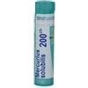 boiron Mercurius solub 200ch gr bo