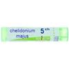 boiron Chelidonium majus 5ch 80gr 4g
