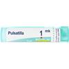 boiron Pulsatilla 1000k 80gr 4g