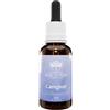 BUSH BIOTHERAPIES Pty Ltd caregiver 30 ml