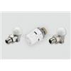 Tiemme Kit Tiemme Valvola Detentore Testa Termostatica a Squadra da 3/8 - 3300137