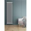 DL Radiators Radiatore Tubolare in Acciaio DL Radiators UDINE H2000 2 Colonne Bianco - 6 Elementi