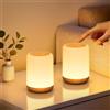 VIWAVE Set di 2 Lampada da Comodino Touch, Abat Jour da Comodino con 256 Colore RGB e 3 Modalità, Luce Notturna Bambini con Timer e Memoria, Lampada da Tavolo Ricaricabile Senza Fili per Camera da Letto