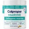 PROTEIN Sa colpropur collagene marine vaniglia colpropur 228 g
