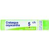 CRATAEGUS OXYACANTHA 5CH GR - BOIRON - 800108449