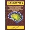 Majosta IL NERVO VAGO: Tutto quello che devi sapere sul nervo vago. Scopri come può influenzare l'ansia, la depressione e l'umore in generale. Impara ad attivarlo e stimolarlo per il tuo benessere personale.