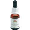 Green Remedies Fringed Viole Bush Flower 15 Ml