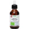 Fitomedical Betulla Bianca Semi Macerato Glicerico Bio 100 ml