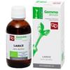 Fitomedical Larice Macerato Glicerico 50 Ml Bio