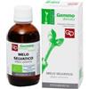 Fitomedical Melo Selvatico Macerato Glicerico 50 Ml Bio
