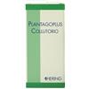 Hering Plantagoplus Collutorio 180ml