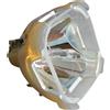 INFOCUS SP-LAMP-007 LAMPADA PHILIPS SENZA SUPPORTO (SOLO BULBO)