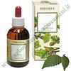 Erbamea CASTANEA VESCA GEMME GEMMODERIVATO BIO 50 ML