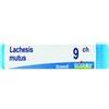 BOIRON Srl LACHESIS MUTUS Dose 9CH