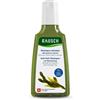 Rausch shampoo antisebo alla quercia marina 200 ml - - 986879346