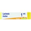 BOIRON Srl Lachesis mut mk gl - BOIRON - 800026357