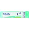 Pulsatilla boi*1000k 80gr 4g - BOIRON - 046477384