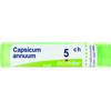 Capsicum ann boi*5ch 80gr 4g - BOIRON - 047566450