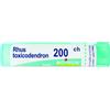 Rhus toxicod boi*200ch 80gr - BOIRON - 046498301