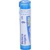 Berberis vulg boi*9ch 80gr 4g - BOIRON - 046235089