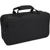 Eujgoov Custodia per Clarinetto Portatile, Custodia in Sib Tessuto Oxford Imbottito in Schiuma Custodia piatta per B# Clarinetto Negro