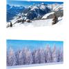 My Village WINTERSPORT & FOREST Sfondo doppio per villaggi di Natale 98x33 cm