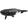 Schleich Wild Life Balena Franca Nordatlantica 14878