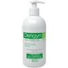 Selle Italia Derigyn Tto 500ml Fast