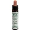 SANTIVERI Sa Santiveri Ainsworths Crab Apple Integratore Alimentare 10ml