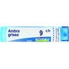 BOIRON Srl Ambra Grisea 9CH Boiron 80 Granuli