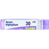 BOIRON Srl Arum Triphyllum 30CH Boiron Granuli 4g