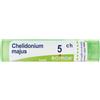 BOIRON Srl Chelidonium Majus 5CH Boiron Granuli 4g