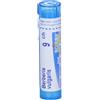 BOIRON Srl Berberis Vulgaris 9CH Boiron 80 Granuli 4g