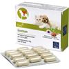 CAMON Immun Mangime Complementare 60CP