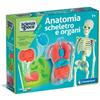 Clementoni Scienza & Gioco Anatomia Scheletro e Organi di Clementoni