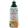 L ANGELICA SH NUTRIENTE 250 ML