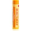 Burt's Bees Lip Balm Mango 4.25 g