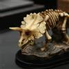 Giocattoli Della Statua Della Decorazione Dello Scheletro Del Dinosauro per I
