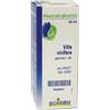 boiron Vitis vin gem mg 60ml bo