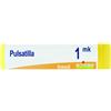 boiron Pulsatilla 1000k gl 1g